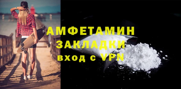гидра Няндома