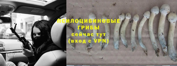 метадон Осташков