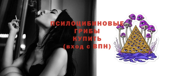 молекула духа Аркадак