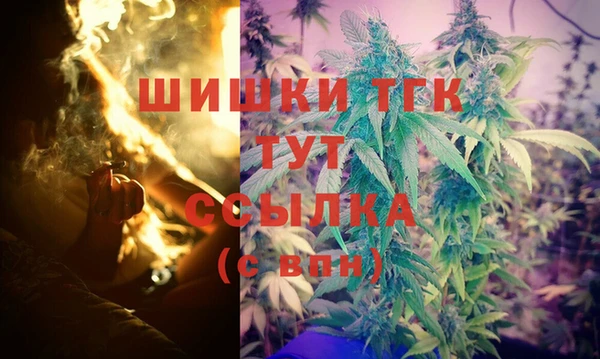индика Армянск