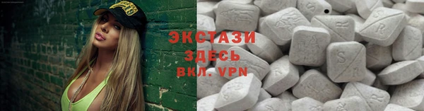 СК Пересвет