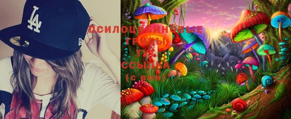 apvp Осинники