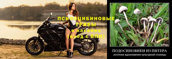 трава Переславль-Залесский