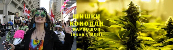 apvp Осинники