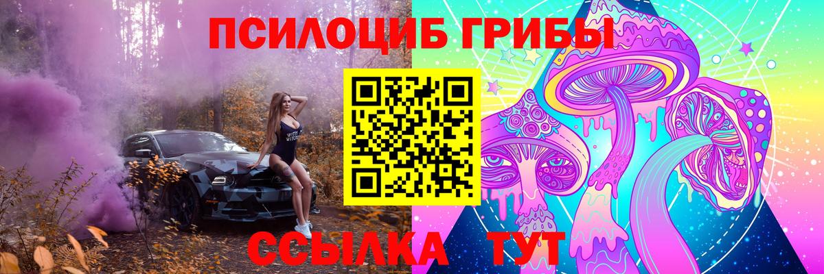 Псилоцибиновые грибы ЛСД Алексеевка