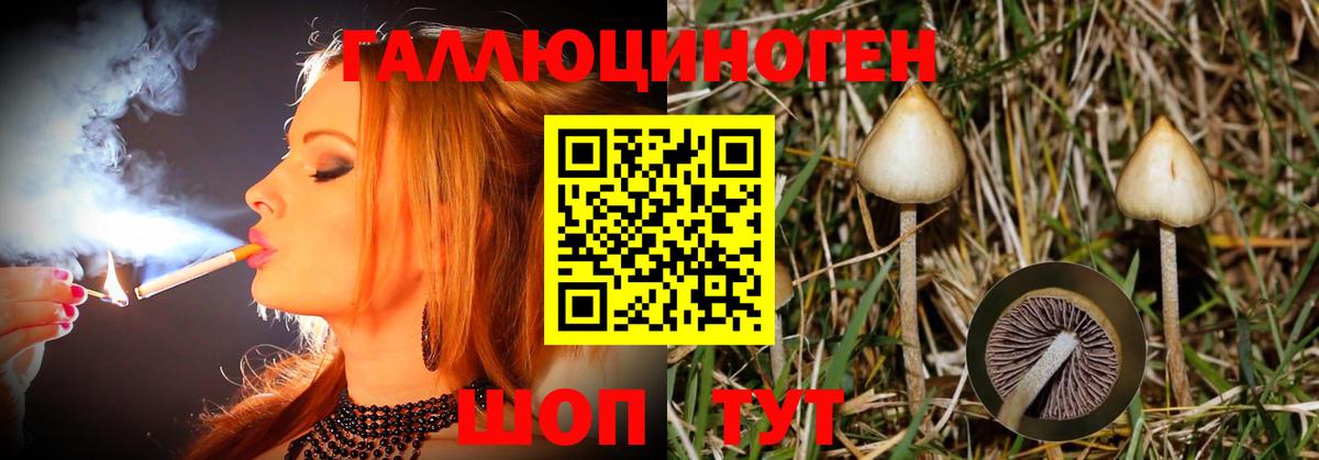 Галлюциногенные грибы мухоморы  Галлюциногенные грибы мухоморы  наркошоп  Вход с VPN  Алексеевка 